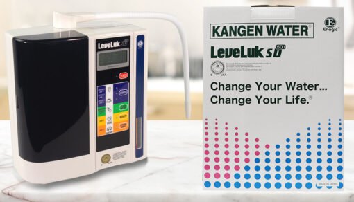 Máy Lọc Nước Ion Kiềm Kangen Leveluk SD501