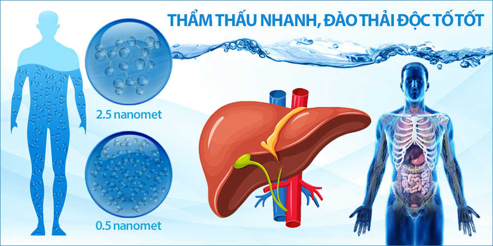 Lợi ích của nước ion kiềm đối với sức khỏe Kim Long Phát