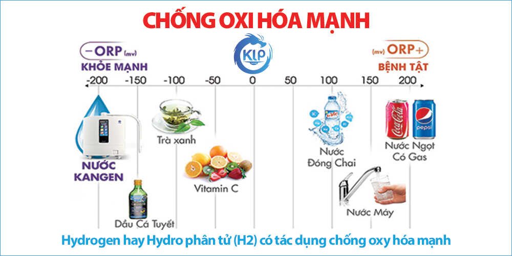 Hướng Dẫn Uống Nước Ion Kiềm Đúng Cách? Những Lưu Ý Quan Trọng Không Thể Bỏ Qua 11 Công dụng của nước ion kiềm