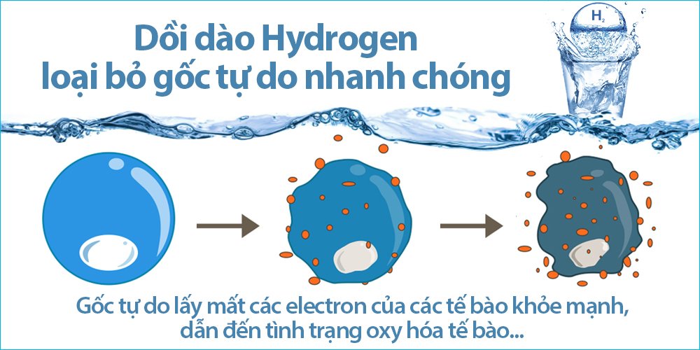Nước Ion Kiềm dồi dào hydrogen giúp loại bỏ gốc tự do nhanh chóng