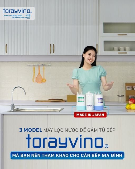 03 model máy lọc nước để gầm tủ bếp Torayvino dành cho căn bếp của bạn