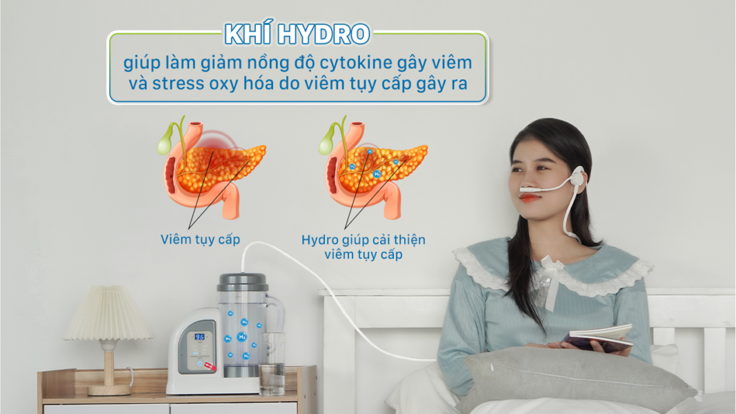 Thumbnail Giam nong do cytokine gay viem va ton thuong oxy hoa do viem tuy cap