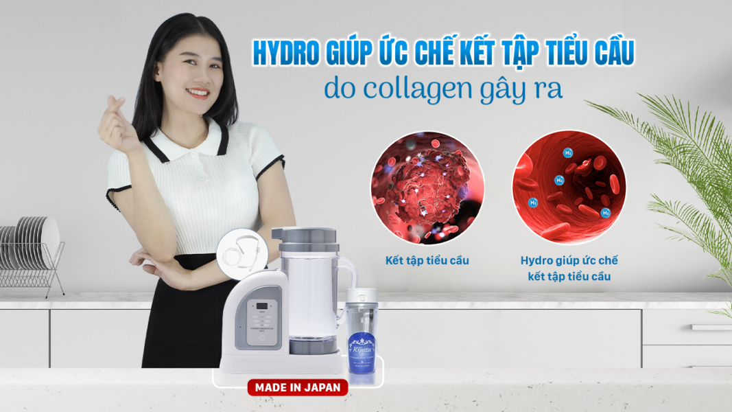 Thumbnail Hydro giup uc che ket tap tieu cau do collagen gay ra