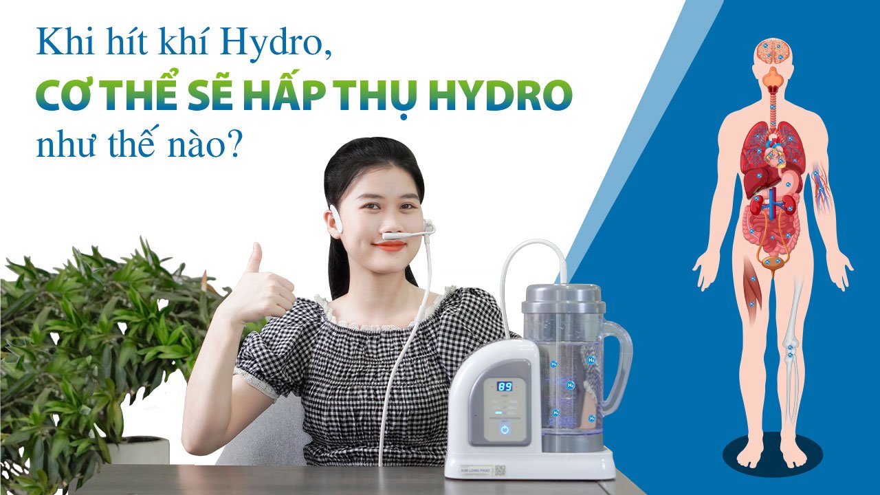 Khi hít khí Hydro từ máy Lourdes Hydrofix (Superior Edition), cơ thể sẽ hấp thụ Hydro như thế nào?