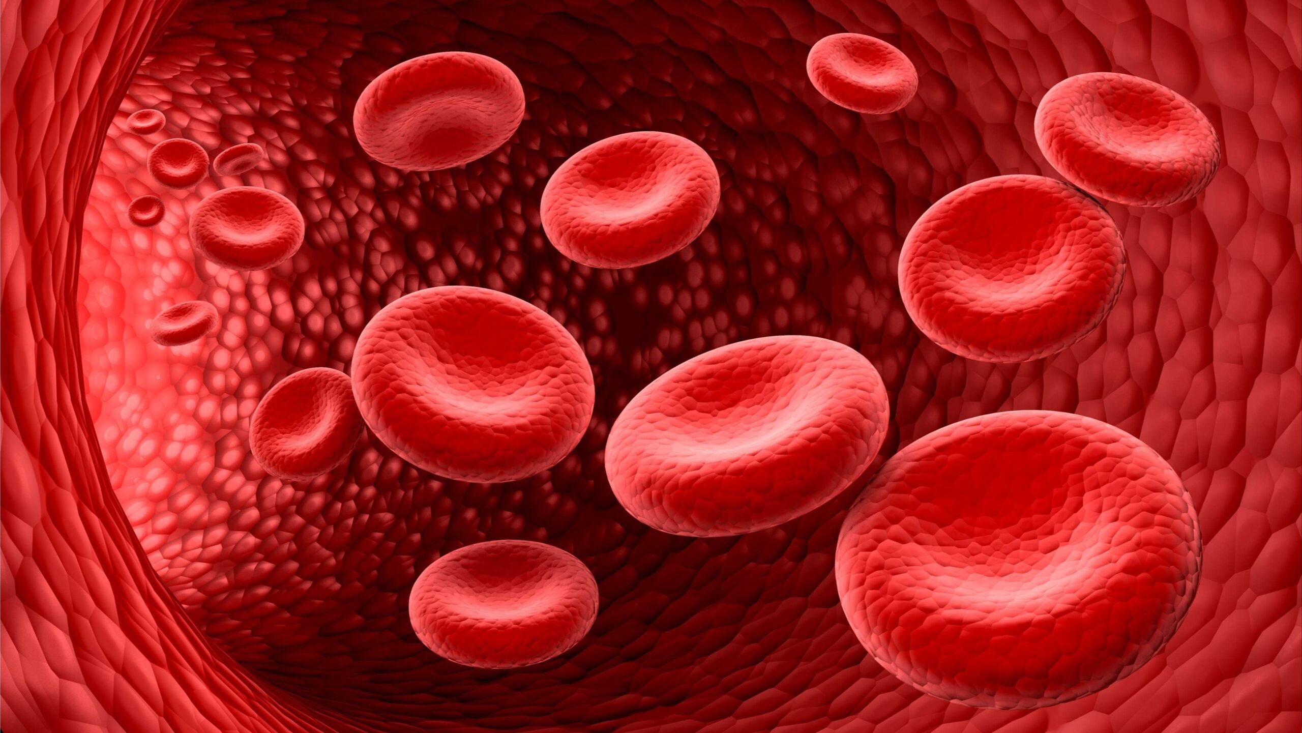 Hình ảnh tế bào hồng cầu ở người