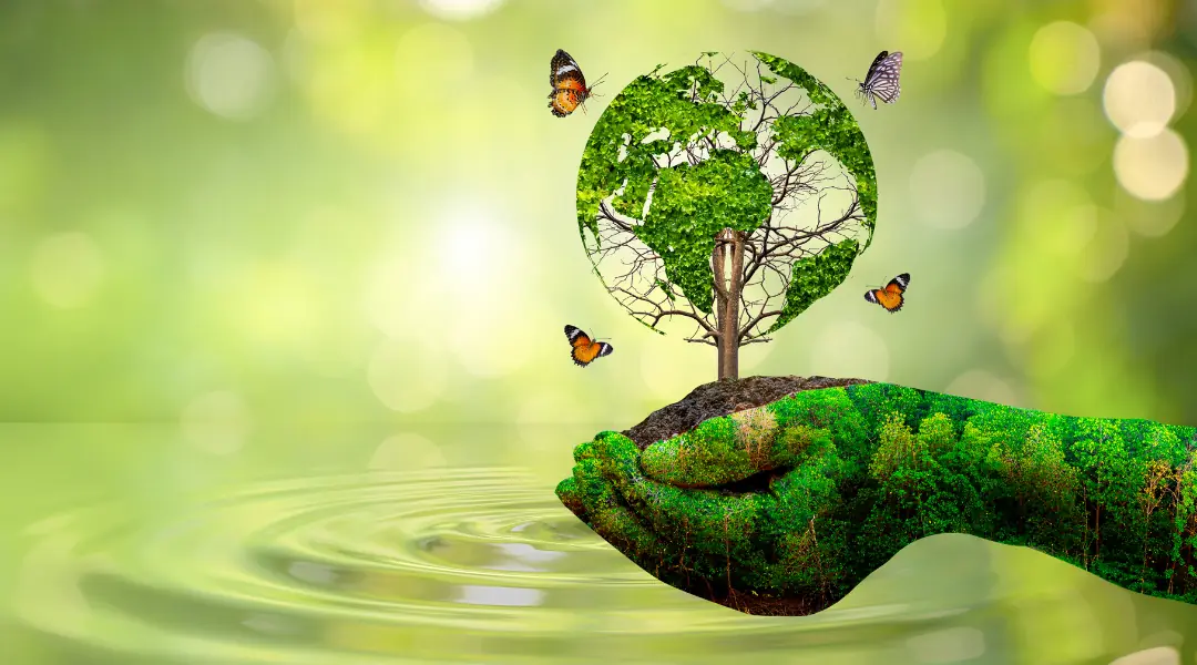 4 ưu điểm của bộ lọc nước không nước thải Torayvino 3 Lọc nước không nước thải Torayvino. Tiết kiệm tài nguyên nước và góp phần bảo vệ môi trường trong sạch hơn
