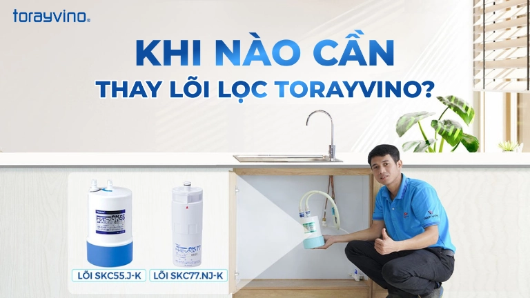 Thay lõi lọc Torayvino đúng hạn để đảm bảo nguồn nước đầu ra tốt nhất